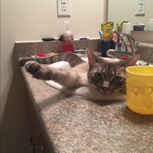 Meet your Posher, Katie